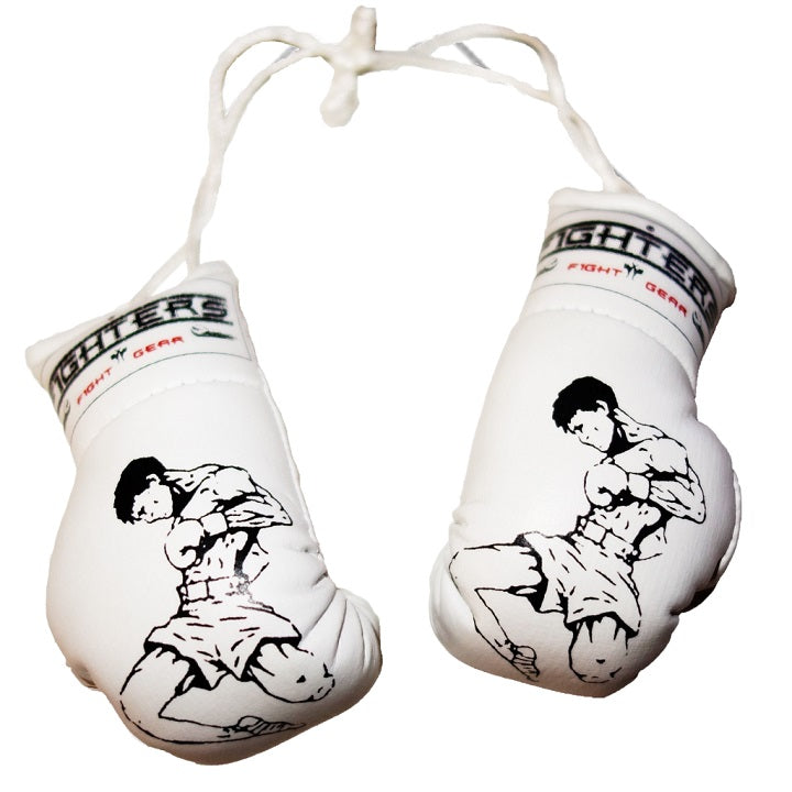 FIGHTERS - Mini Boxhandschuhe / Muay Thai / Weiss
