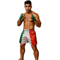 FIGHTERS - Muay Thai Shorts / Italien / Tri Colore