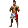 FIGHTERS - Muay Thai Shorts / Italien / Stemma