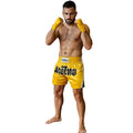 FIGHTERS - Muay Thai Shorts / Gelb