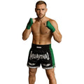 FIGHTERS - Thaibox Shorts / Elite Muay Thai / Schwarz-Grün