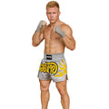 FIGHTERS - Muay Thai Shorts / Silber-Grau