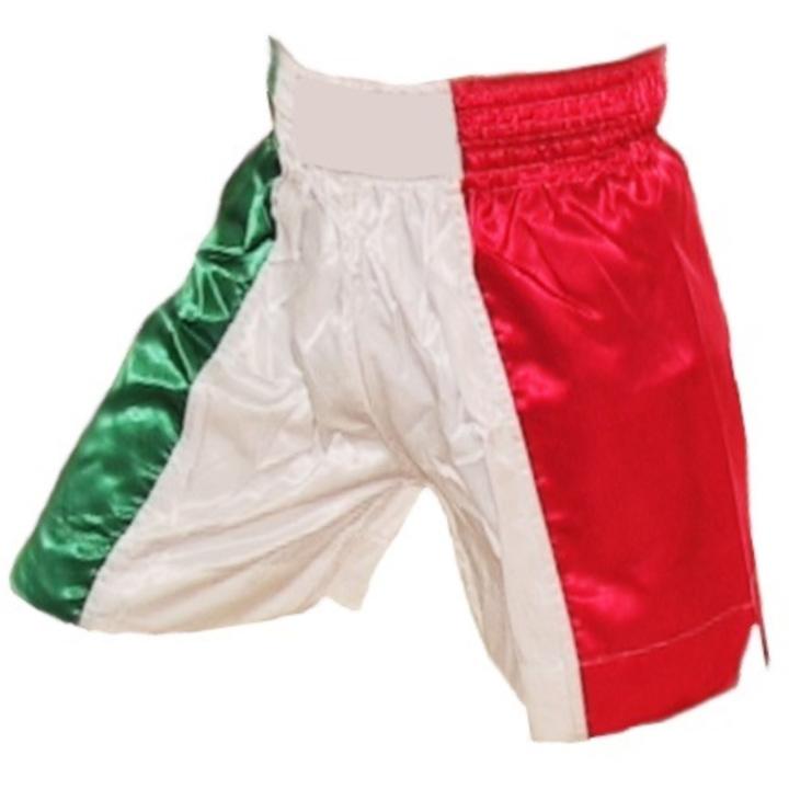 FIGHTERS - Muay Thai Shorts / Italien / Tri Colore